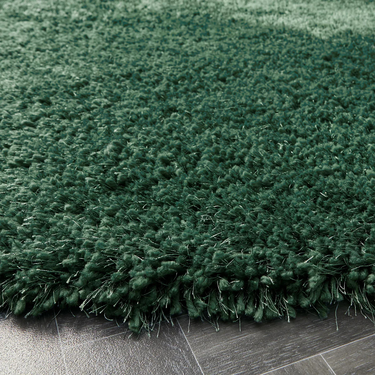 The Chicago | Forest